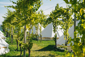 Glamping Package